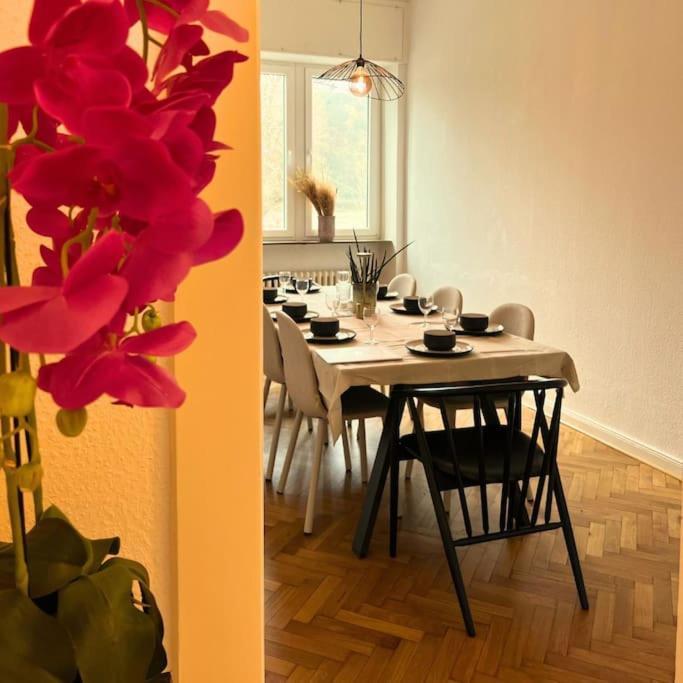 Apartmán Gemuetliche Rheinblick Residenz Koblenc Exteriér fotografie